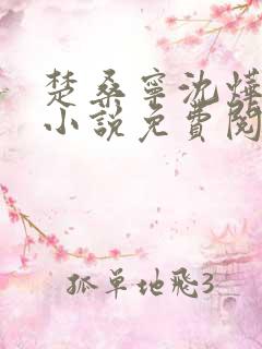 楚桑宁沈烨林序小说免费阅读