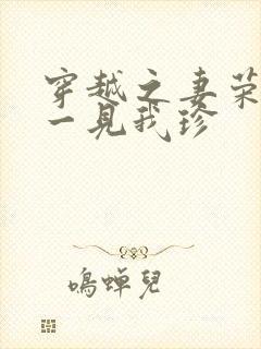 穿越之妻荣夫贵一见我珍