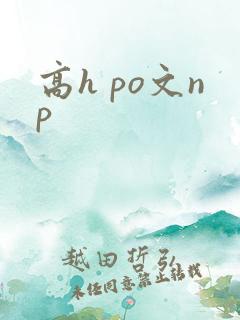 高h po文np