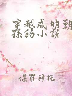 穿越成明朝皇太孙的小说
