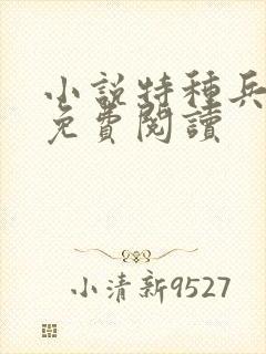 小说特种兵之王免费阅读