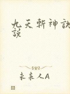 九天斩神诀 小说