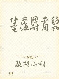 什么牌子的电车电池耐用和质量好