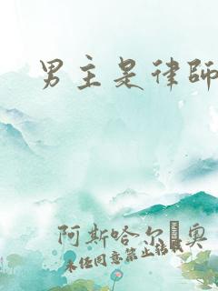 男主是律师小说