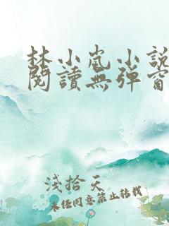 林小岚小说免费阅读无弹窗