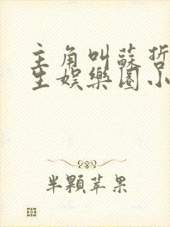 主角叫苏哲的重生娱乐圈小说