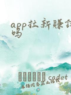 app拉新赚钱吗