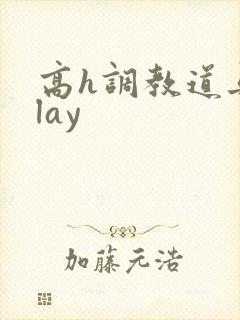 高h调教道具play