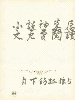 小说神墓辰东全文免费阅读