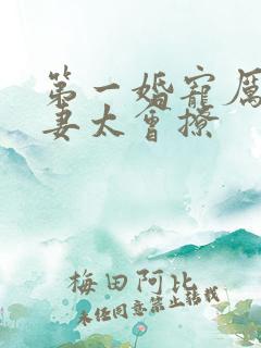 第一婚宠厉爷娇妻太会撩