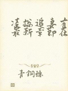 凌总追妻有点甜最新章节在线