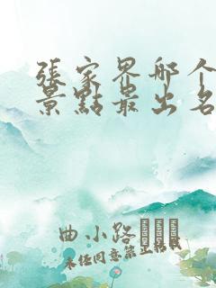 张家界哪个旅游景点最出名