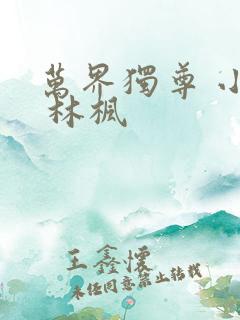 万界独尊 小说 林枫