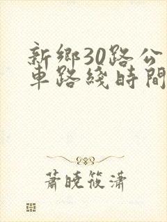 新乡30路公交车路线时间表