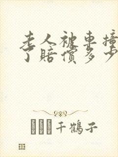 老人被车撞骨折了赔偿多少钱