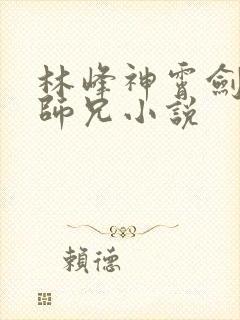 林峰神霄剑宗大师兄小说