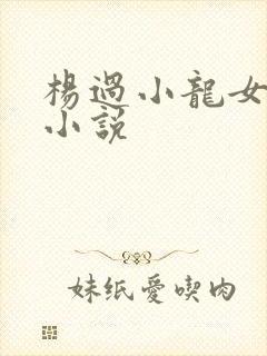 杨过小龙女黄蓉小说