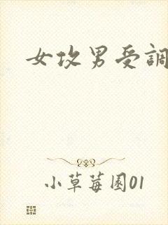 女攻男受调教h