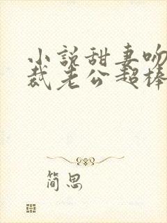 小说甜妻吻安总裁老公超棒的