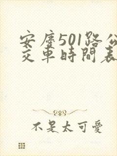 安庆501路公交车时间表
