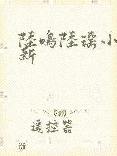 陆鸣陆瑶小说最新