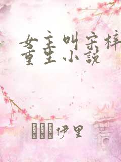 女主叫宋梓涵的重生小说 女主叫宋梓涵的重生小说