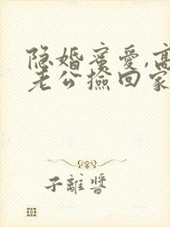 隐婚蜜爱,高冷老公捡回家