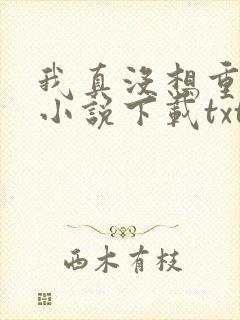 我真没想重生啊小说下载txt