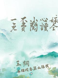一不小心嫁总裁免费阅读全文
