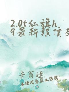 2.0t红旗h9最新报价及图片