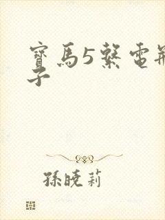 宝马5系电瓶牌子