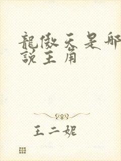 龙傲天是哪本小说主角
