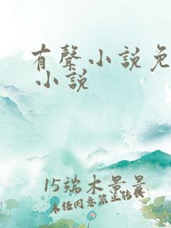 有声小说免费的 小说