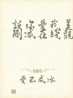 说你爱我美剧未删减在线观看