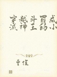 穿越斗罗成为毁灭神王的小说