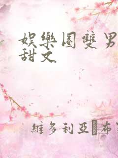 娱乐圈双男主文甜文