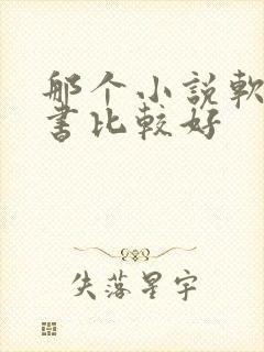 那个小说软件听书比较好
