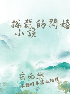 总裁的闪婚甜妻 小说