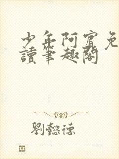 少年阿宾免费阅读笔趣阁