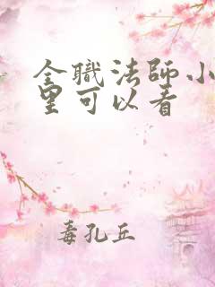 全职法师小说那里可以看