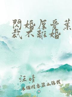 闪婚厚爱叶少总裁不离婚
