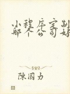 小程序定制开发哪个公司好