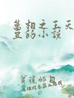 万相之王天蚕土豆的小说