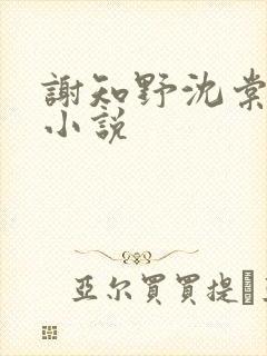 谢知野沈棠绾的小说