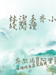 林洁秦齐小说在线阅读