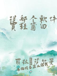 从哪个软件可以买鞋莆田