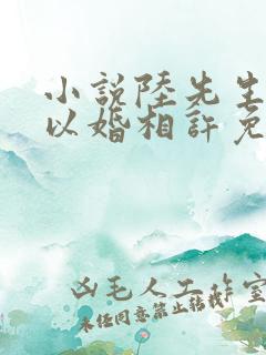 小说陆先生偏要以婚相许免费阅读