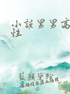 小说男男高h双性