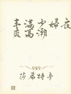 丰满少妇夜夜爽爽高潮