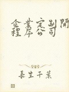 企业定制开发小程序公司